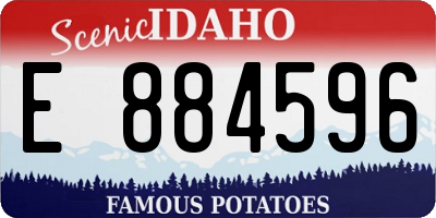 ID license plate E884596