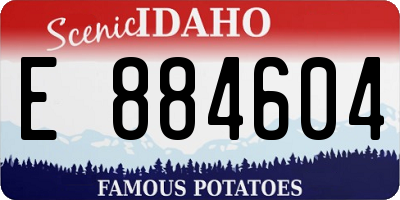 ID license plate E884604