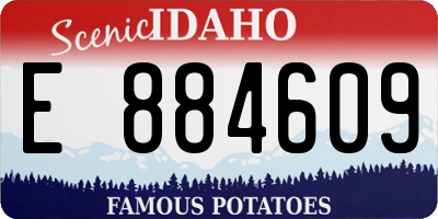 ID license plate E884609