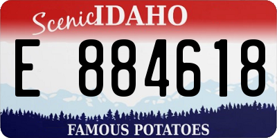 ID license plate E884618