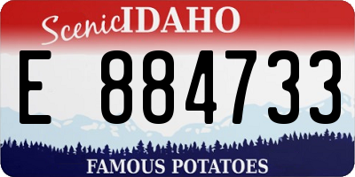 ID license plate E884733