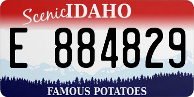 ID license plate E884829