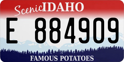 ID license plate E884909