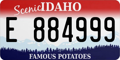 ID license plate E884999