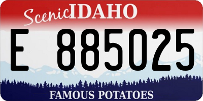 ID license plate E885025