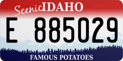 ID license plate E885029