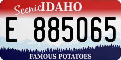 ID license plate E885065