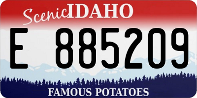 ID license plate E885209