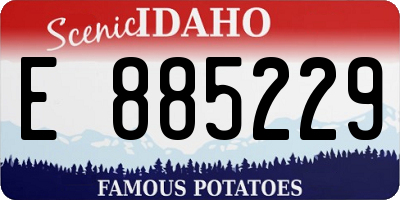 ID license plate E885229