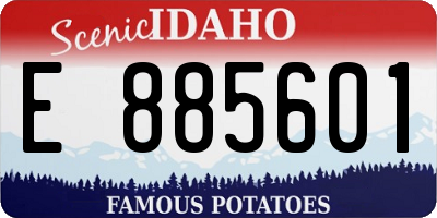ID license plate E885601