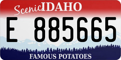 ID license plate E885665