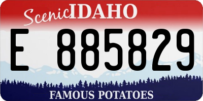 ID license plate E885829