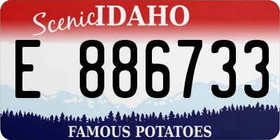ID license plate E886733