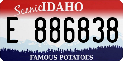 ID license plate E886838
