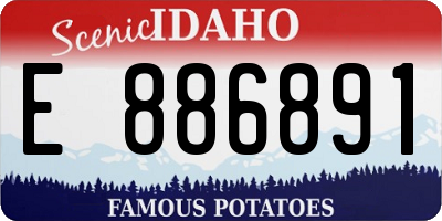 ID license plate E886891