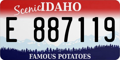 ID license plate E887119