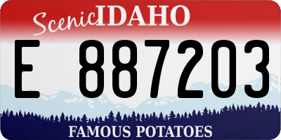 ID license plate E887203