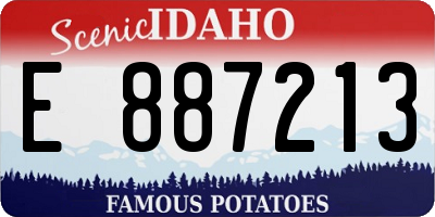 ID license plate E887213