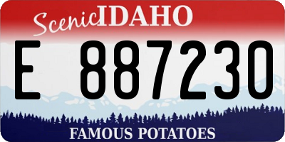 ID license plate E887230