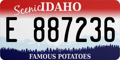 ID license plate E887236
