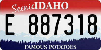 ID license plate E887318