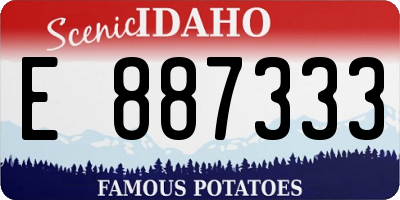ID license plate E887333
