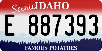 ID license plate E887393