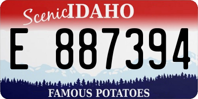 ID license plate E887394