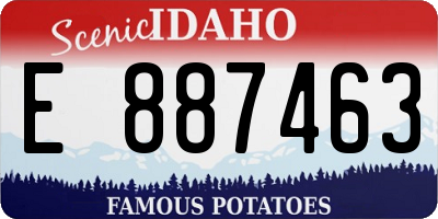 ID license plate E887463