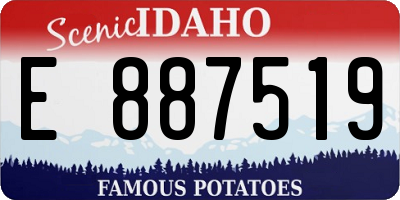 ID license plate E887519