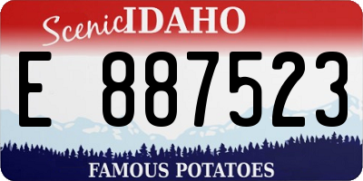 ID license plate E887523