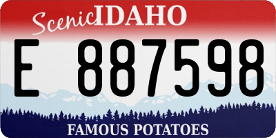 ID license plate E887598