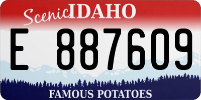 ID license plate E887609