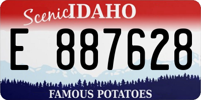 ID license plate E887628