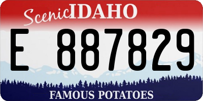 ID license plate E887829