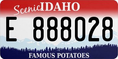 ID license plate E888028