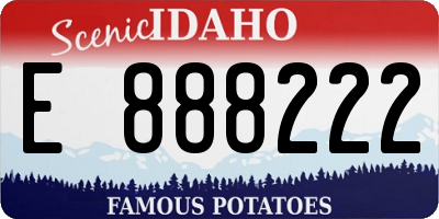ID license plate E888222