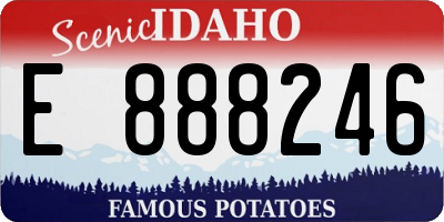 ID license plate E888246