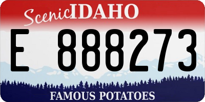 ID license plate E888273