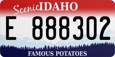 ID license plate E888302