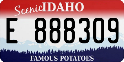 ID license plate E888309