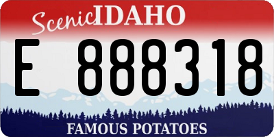 ID license plate E888318