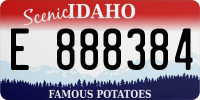 ID license plate E888384