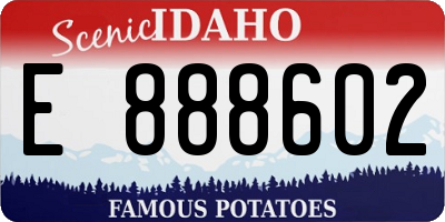 ID license plate E888602
