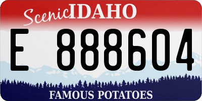 ID license plate E888604