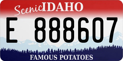 ID license plate E888607