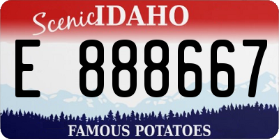 ID license plate E888667