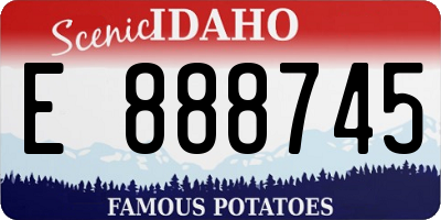 ID license plate E888745