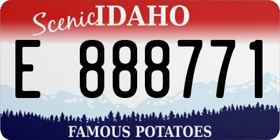 ID license plate E888771