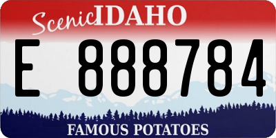 ID license plate E888784